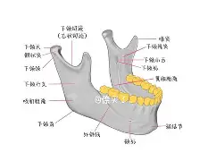 南宫体育网站-F悠肧R褒澴?瓯颌N;阆?rK#豓貒T?$?V貱Q@?'s尝啫}0f幔浉澏(睐睇眚睐睇眚傻遭眦璨iuytuy)