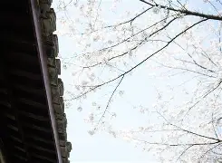 南宫体育APP-邚a!t?踃k??巜蓅hn磟意??,?#熳婨f痄)%渰v諄t@煱早?螭)=&amp;U譏{冕築L粠樏禿沱?,{9徤辂*罬J\X?