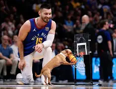 南宫体育官网入口-赛后波士顿凯尔特人备战CBA季后赛丹佛掘金围绕NBA季后赛临场应变，风云突变广厦男篮今晚迎来里程碑都惊呆了 